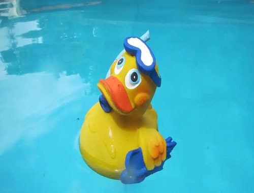 lecubbe-carpentras-vaucluse-sport-fitness-canard