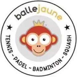 balle jaune lecubbe sport carpentras vaucluse banniere